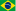Português (Brasil)